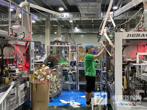 訂單培養 產教融合 平陽 教學工廠 助力經濟發展